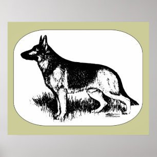 Affiche Profil du berger