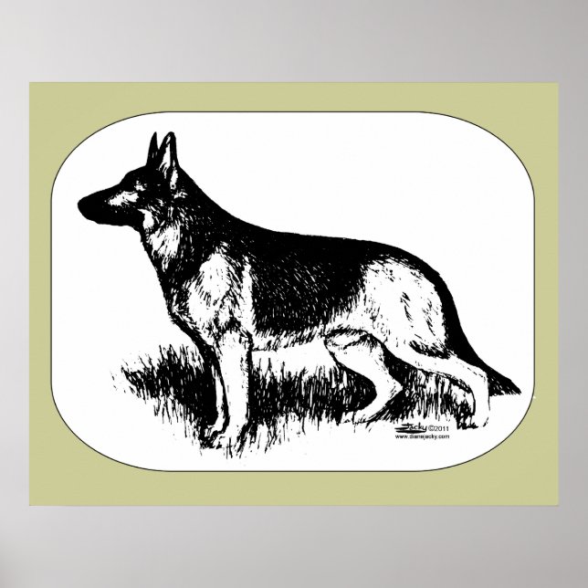 Affiche Profil du berger (Devant)