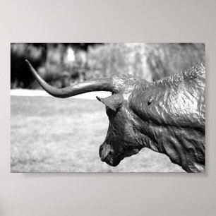 Affiche Profil Longhorn