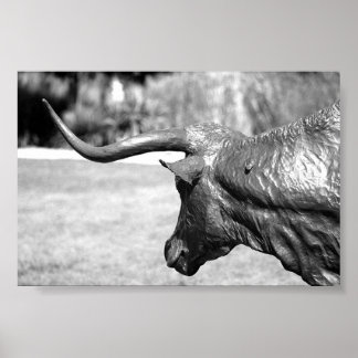 Affiche Profil Longhorn