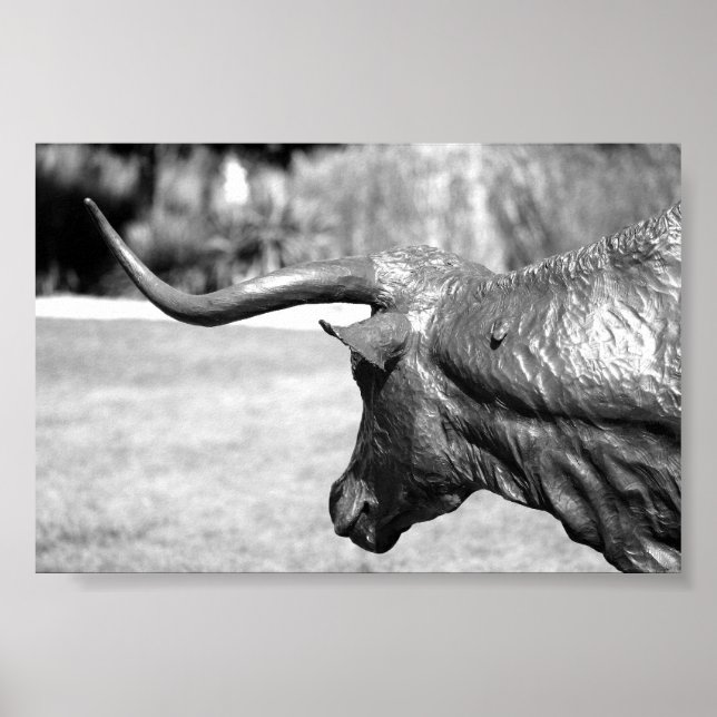 Affiche Profil Longhorn (Devant)