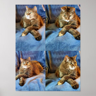 AFFICHE PROFONDE DANS LA CUISINE PENSÉE