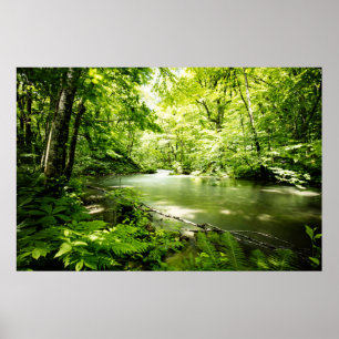 Affiche Profondément dans la forêt