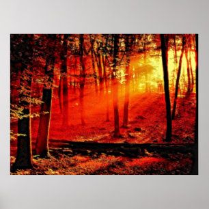 Affiche Profondeur 59