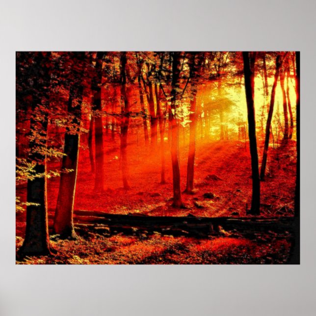 Affiche Profondeur 59 (Devant)