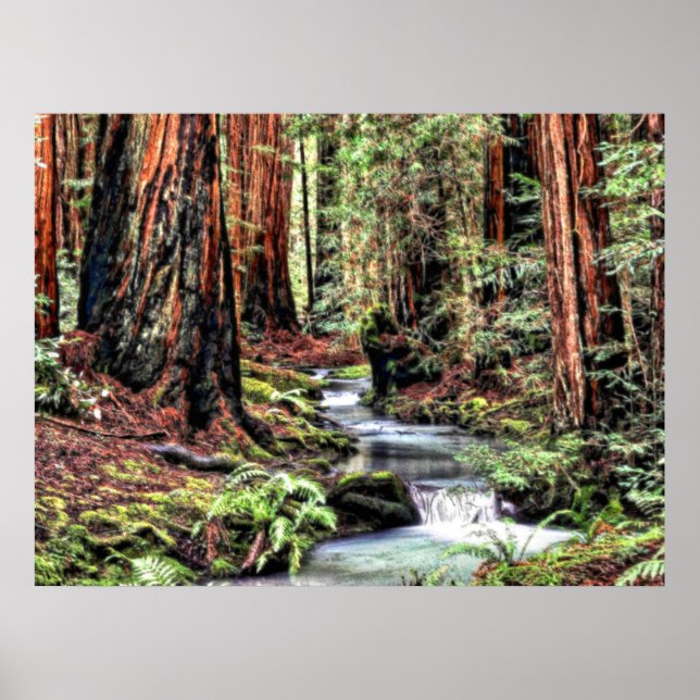 Affiche Profondeur 92 Bristle Lum (Devant)