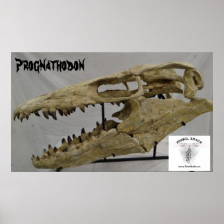 Affiche Prognathodon Mosasaur