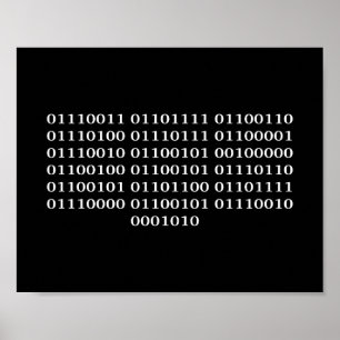 Affiche Programmateur de logiciel