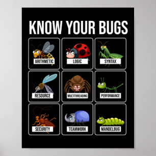Affiche Programmer Coding Know Your Bugs