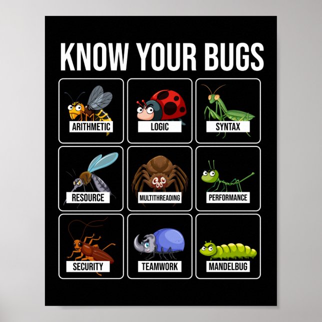Affiche Programmer Coding Know Your Bugs (Devant)