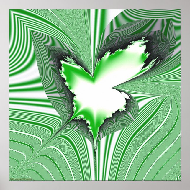 Affiche Projection fractale 1,4g2 (Devant)