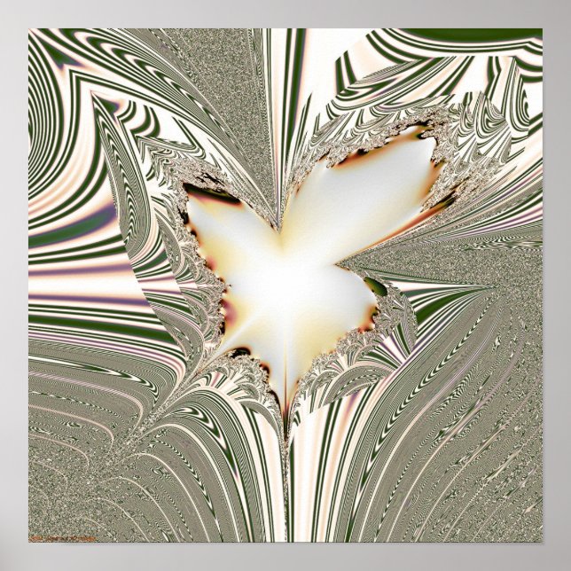 Affiche Projection fractale 1.5.1 (Devant)