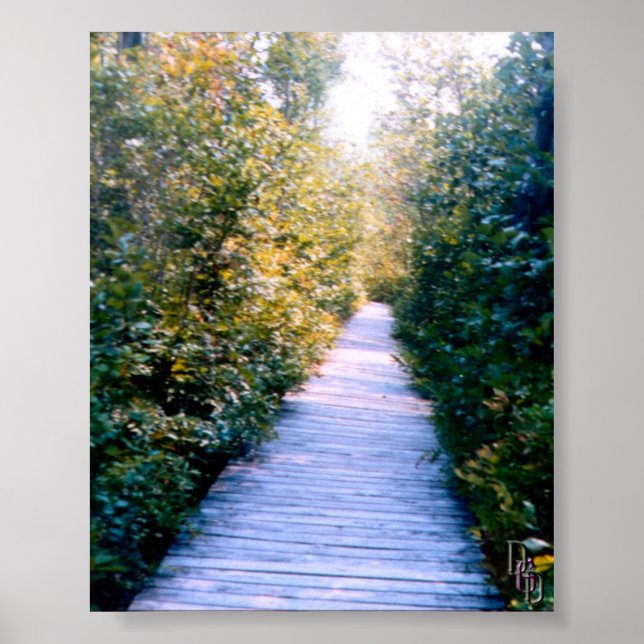 Affiche Promenade (Devant)