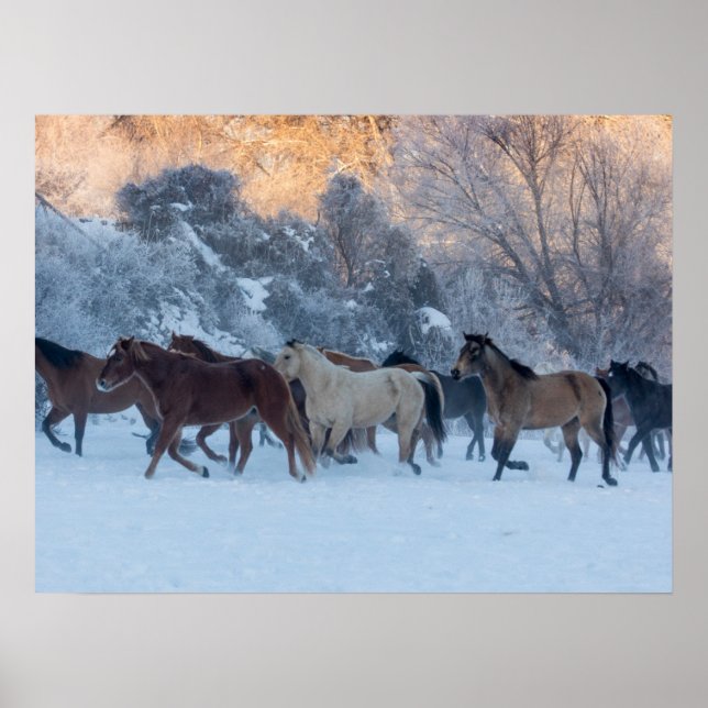 Affiche Promenade à cheval en hiver sur Hideout Ranch (Devant)