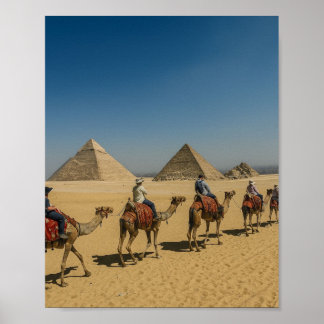 Affiche Promenade à dos de chameau dans le désert des pyra