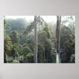Affiche Promenade dans la canopée de la jungle de la forêt