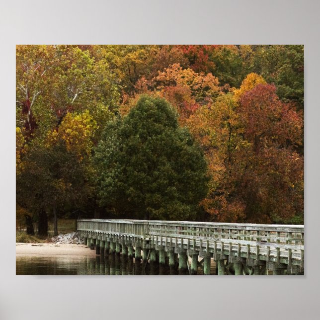Affiche Promenade d'automne (Devant)