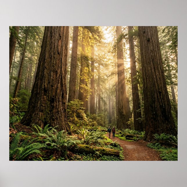 Affiche Promenade en forêt (Devant)