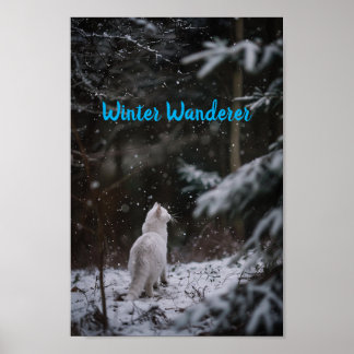 Affiche Promenade hivernale : Chat blanc dans la neige