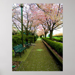 Affiche Promenade verte