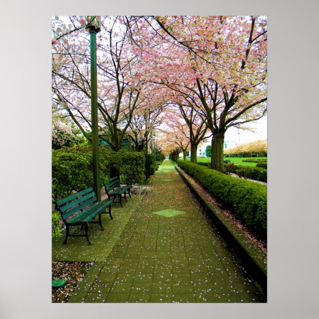 Affiche Promenade verte (Devant)