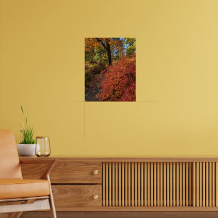Affiche Promenez-vous dans un jardin botanique aux couleur