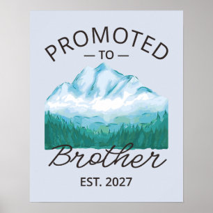 Affiche Promu Frère en 2027 Grand Frère VI