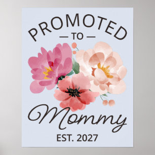 Affiche Promue Maman en 2027 Annonce de Nouvelle Maman VI