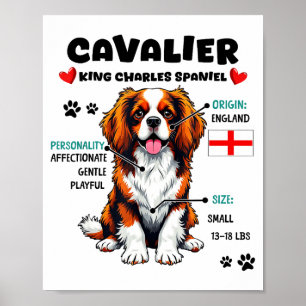 Affiche Propriétaire de Cavalier King Charles Spaniel Amou