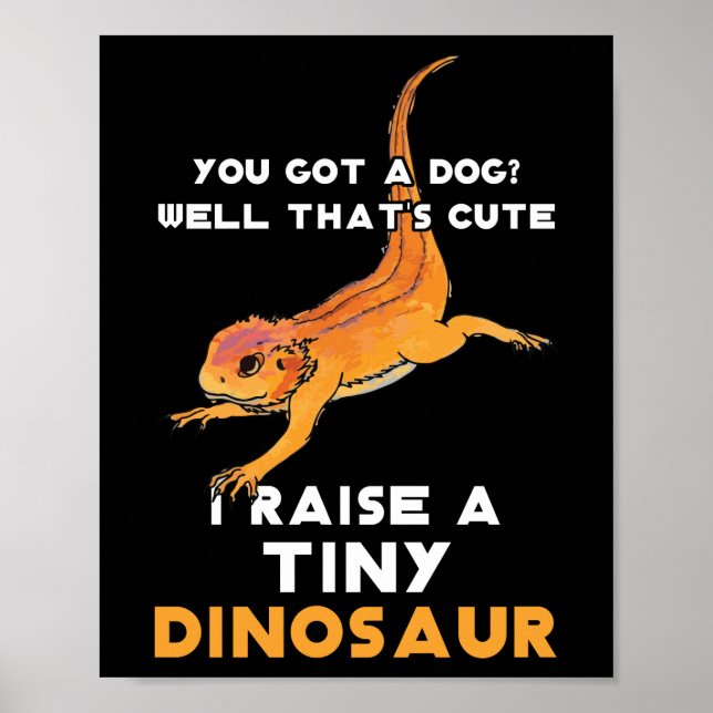 Affiche Propriétaire de Dragon Lourd Porté Pet Dragon Lour (Devant)