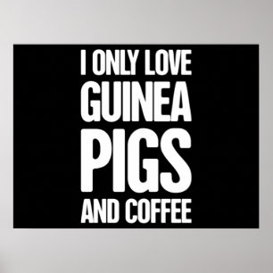 Affiche Propriétaire du porc de Guinée