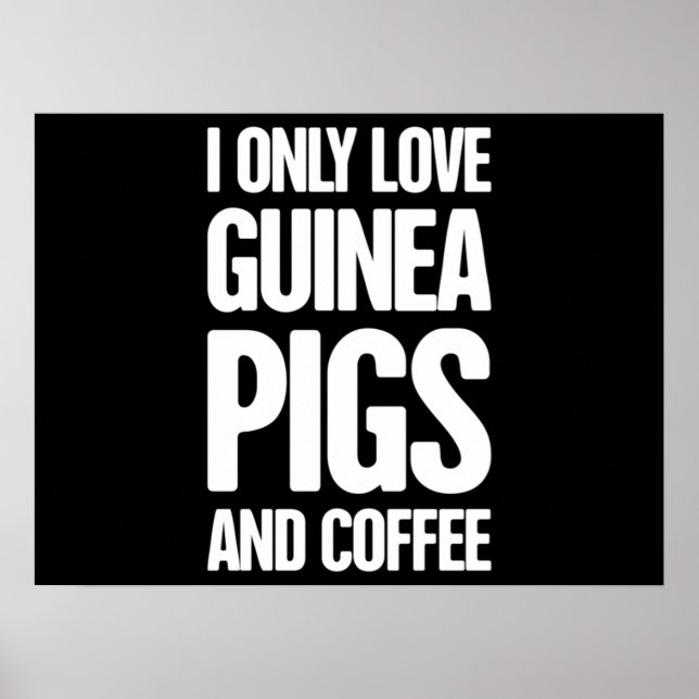 Affiche Propriétaire du porc de Guinée (Devant)