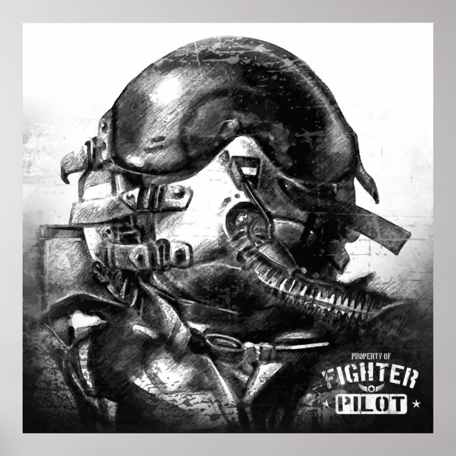 Affiche Propriété Du Pilote De Combat (Devant)