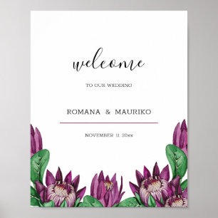 Affiche Protea King Protea