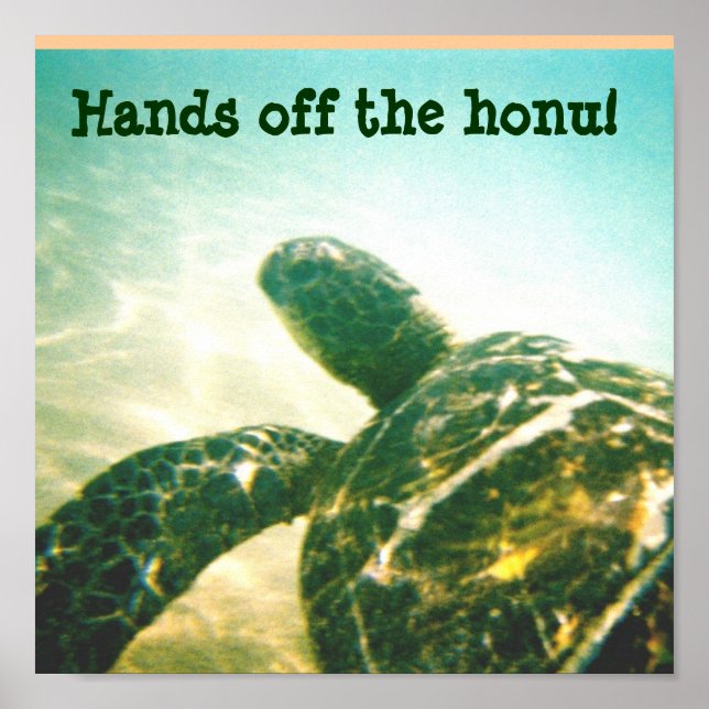Affiche Protection contre les tortues de mer d'Hawaii (Devant)