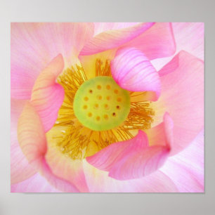 Affiche Protégé doucement