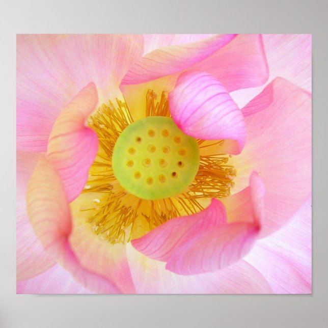 Affiche Protégé doucement (Devant)