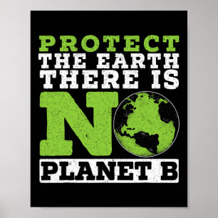 Affiche Protéger La Terre Il N'Y A Pas D'Environnement Pla