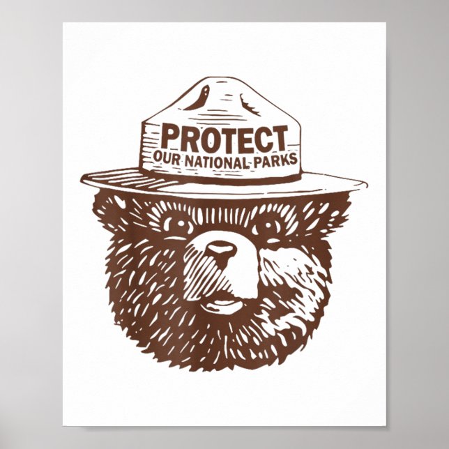 Affiche Protéger nos parcs Ours Graphic Parc national Funn (Devant)