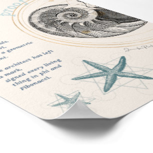 Affiche Prothèse conception de coquillage nautilus fibonac