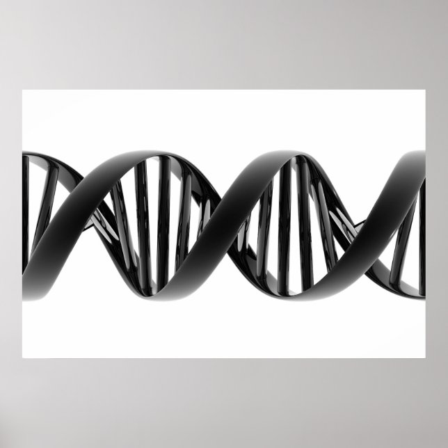 Affiche Prototype (Devant)