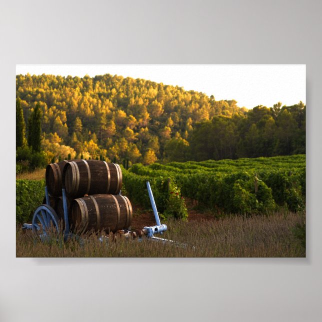 Affiche Provence, France (Devant)