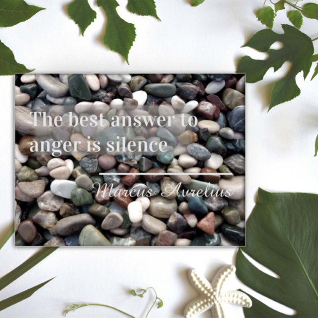 Affiche Proverbe La meilleure réponse est l'affiche du sil (Créateur téléchargé)