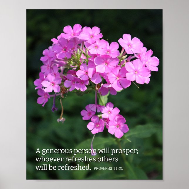 Affiche Proverbes 11:25 Pink Phlox Chrétien (Devant)