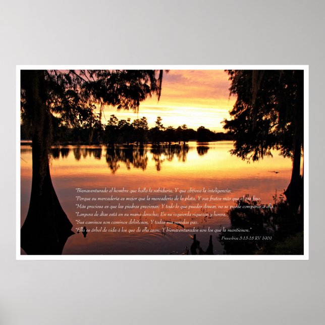 Affiche Proverbios 3 : 13-18 con Arboles (Devant)