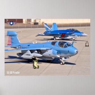 AFFICHE PROWLER EA-6B