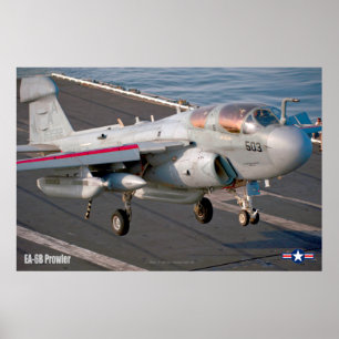 AFFICHE PROWLER EA-6B