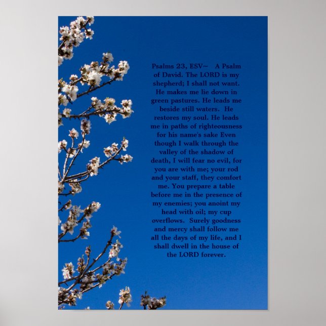 Affiche Psalms 23 (Devant)