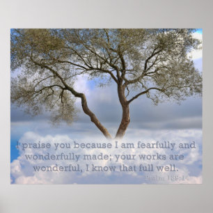 Affiche Psaume 139 : Je suis terriblement et merveilleusem