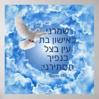 Psaume 17:8